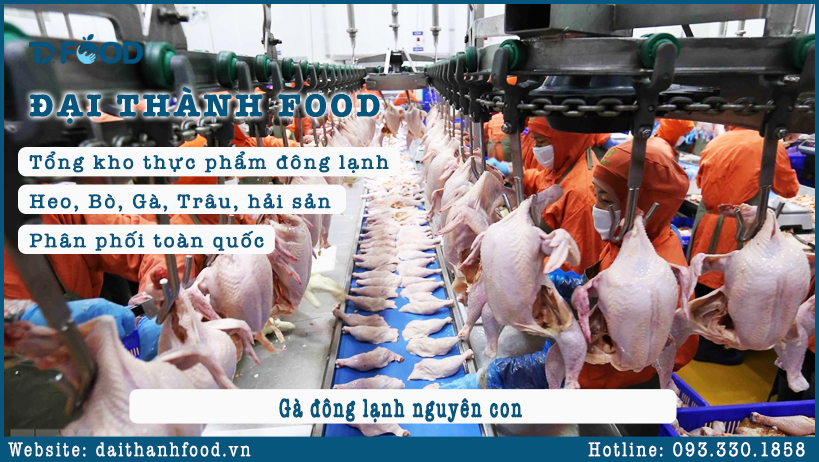 Quy trình sản xuất và bảo quản gà đông lạnh nguyên con